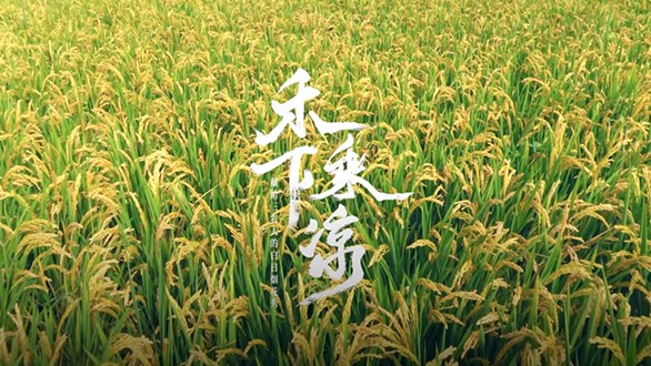 “世界粮食日”花火&快手|为所有三农人放了一场白日焰火！